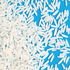 Basmati Reis Probier Set